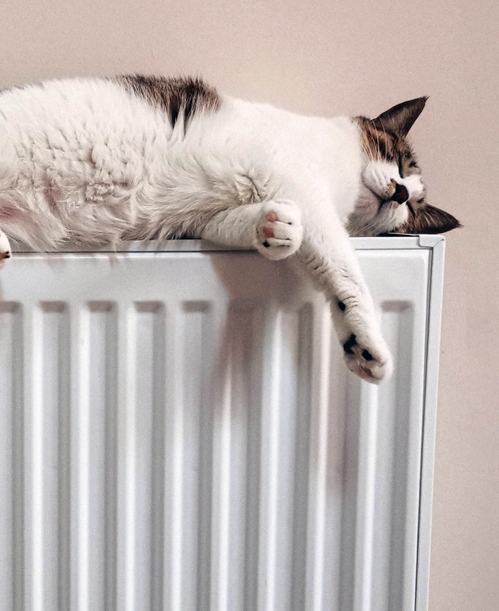 CJM Gas Expert gas services, Broughty Ferry